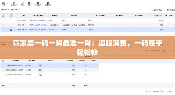 管家婆一码一肖最准一肖：追踪消费，一码在手轻松帐