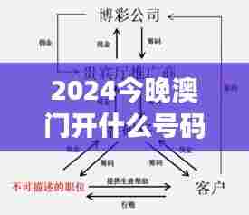2024今晚澳门开什么号码:探索随机选择的科学原理