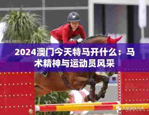 2024澳门今天特马开什么：马术精神与运动员风采