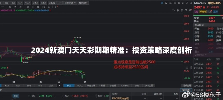 2024新澳门天天彩期期精准:投资策略深度剖析