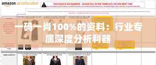 一码一肖100%的资料:行业专属深度分析利器