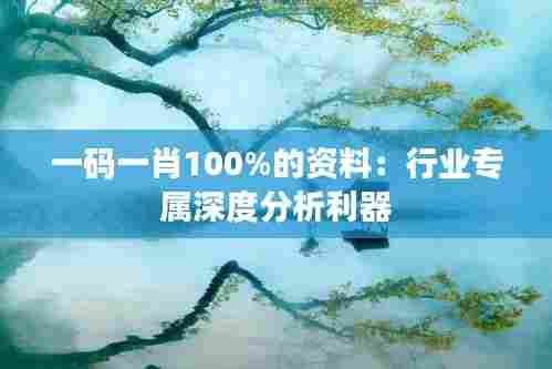 一码一肖100%的资料：行业专属深度分析利器