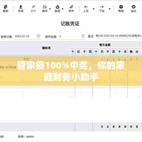 管家婆100%中奖,你的家庭财务小助手
