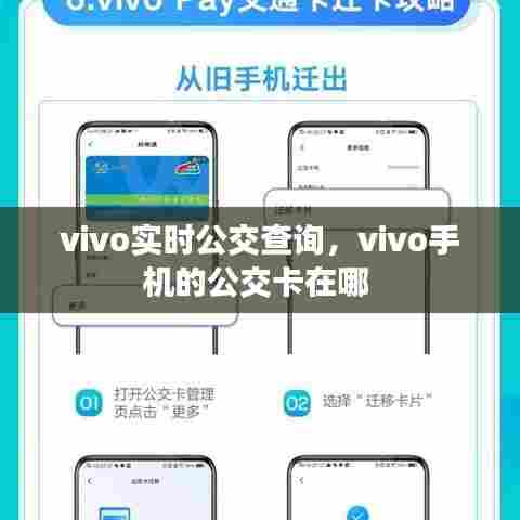 vivo实时公交查询，vivo手机的公交卡在哪 