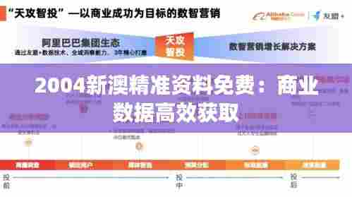 2004新澳精准资料免费:商业数据高效获取