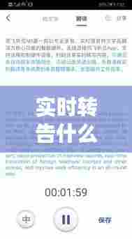 实时转告什么意思，实时转写 