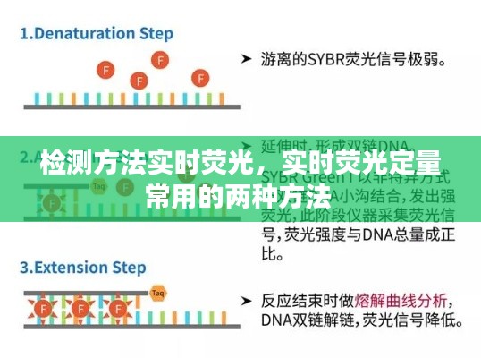 检测方法实时荧光,实时荧光定量常用的两种方法