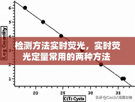 检测方法实时荧光,实时荧光定量常用的两种方法