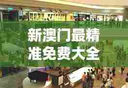 新澳门最精准免费大全：购物天堂省钱秘籍