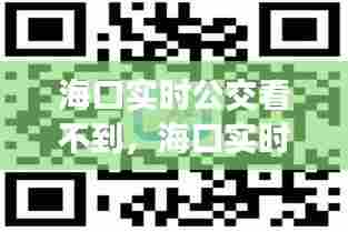 海口实时公交看不到,海口实时公交在线查询