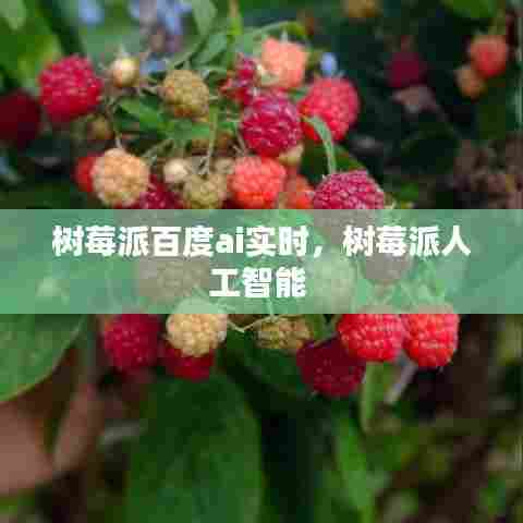 树莓派百度ai实时,树莓派人工智能