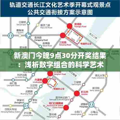 新澳门今晚9点30分开奖结果：浅析数字组合的科学艺术