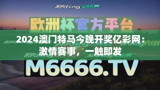 2024澳门特马今晚开奖亿彩网：激情赛事，一触即发