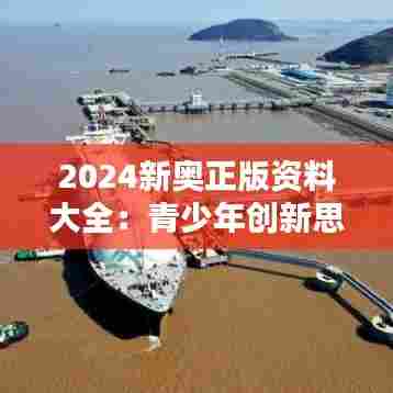 2024新奥正版资料大全：青少年创新思维全景图