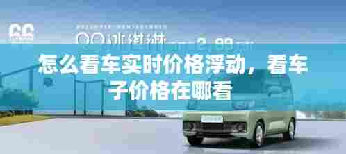 怎么看车实时价格浮动，看车子价格在哪看 