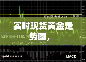 实时现货黄金走势图， 