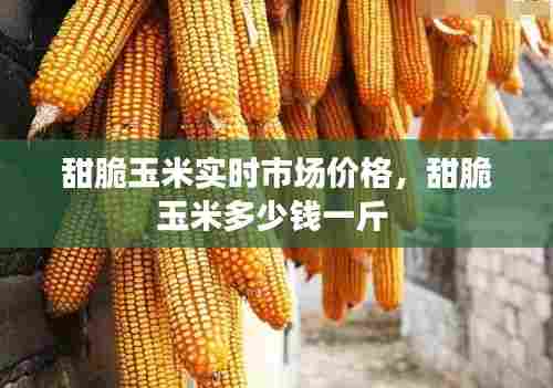 踊贵屦贱 第6页