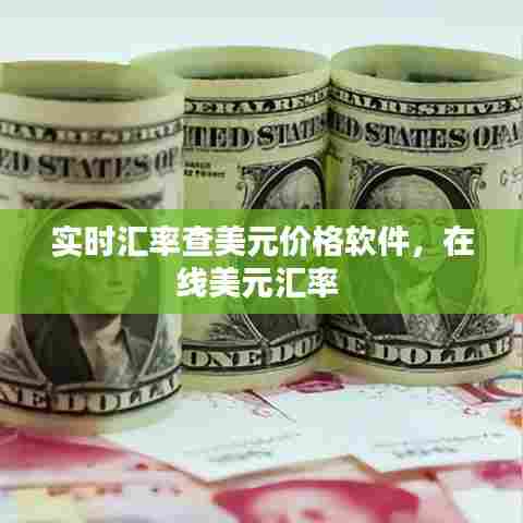 实时汇率查美元价格软件，在线美元汇率 