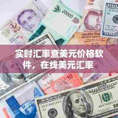 实时汇率查美元价格软件,在线美元汇率