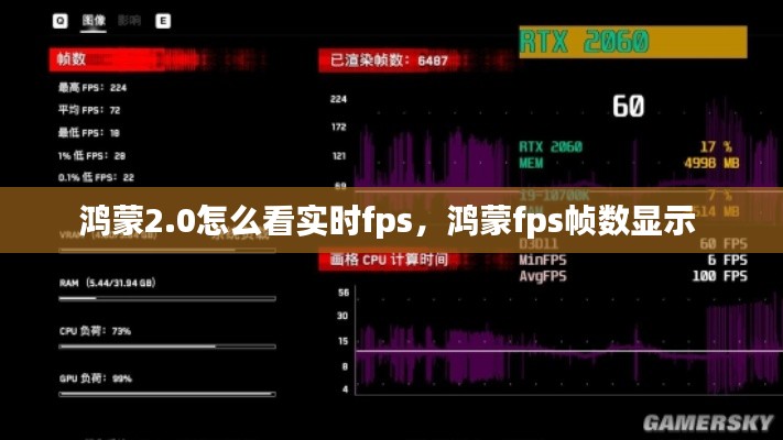 鸿蒙2.0怎么看实时fps，鸿蒙fps帧数显示 