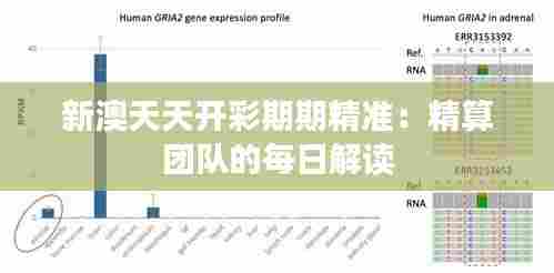 新澳天天开彩期期精准:精算团队的每日解读