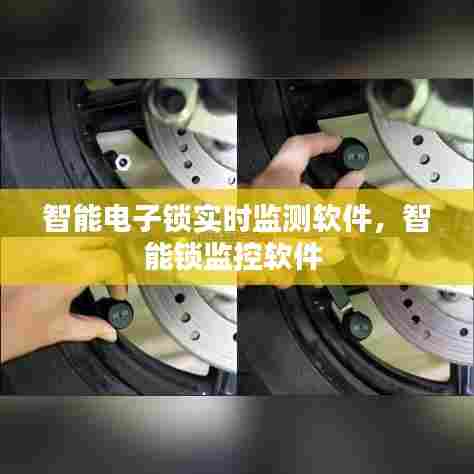 智能电子锁实时监测软件，智能锁监控软件 