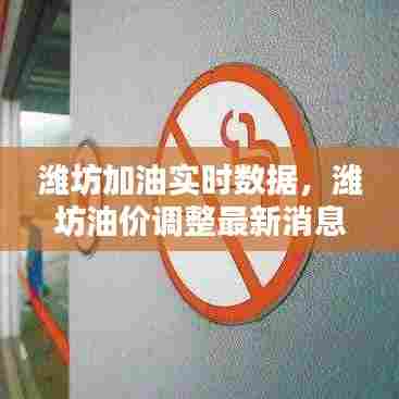 潍坊加油实时数据,潍坊油价调整最新消息