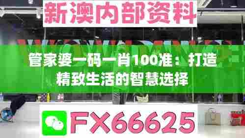 管家婆一码一肖100准:打造精致生活的智慧选择