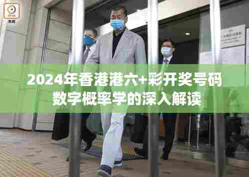 2024年香港港六+彩开奖号码 数字概率学的深入解读