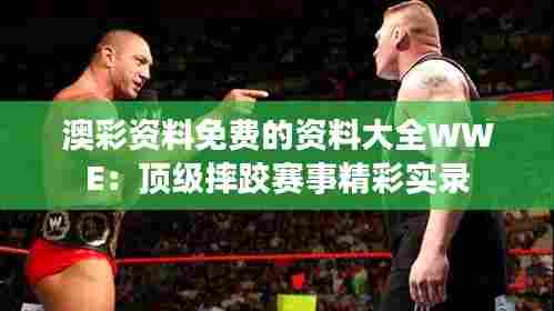澳彩资料免费的资料大全WWE：顶级摔跤赛事精彩实录