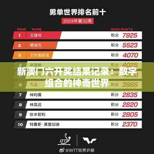 新澳门六开奖结果记录:数字组合的神奇世界