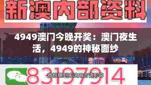 4949澳门今晚开奖：澳门夜生活，4949的神秘面纱