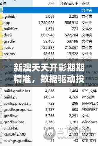 新澳天天开彩期期精准，数据驱动投资指南