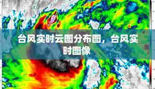 台风实时云图分布图，台风实时图像 