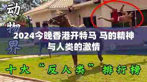 2024今晚香港开特马 马的精神与人类的激情