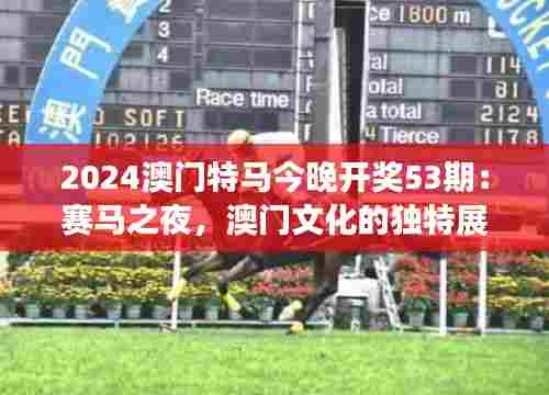 2024澳门特马今晚开奖53期:赛马之夜,澳门文化的独特展现
