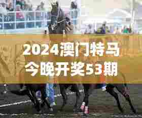 2024澳门特马今晚开奖53期:赛马之夜,澳门文化的独特展现