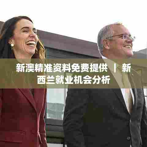 新澳精准资料免费提供 | 新西兰就业机会分析