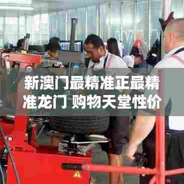 新澳门最精准正最精准龙门 购物天堂性价比探索