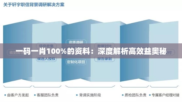 一码一肖100%的资料:深度解析高效益奥秘