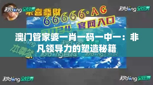 澳门管家婆一肖一码一中一:非凡领导力的塑造秘籍