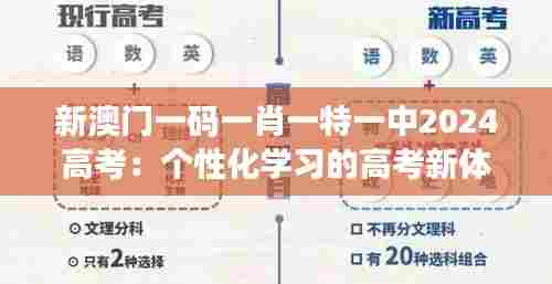 新澳门一码一肖一特一中2024高考:个性化学习的高考新体验