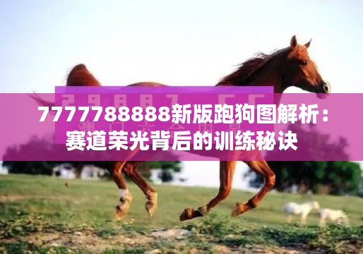 7777788888新版跑狗图解析:赛道荣光背后的训练秘诀