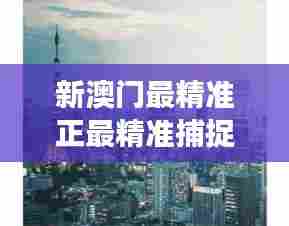 新澳门最精准正最精准捕捉澳门现代与传统交融
