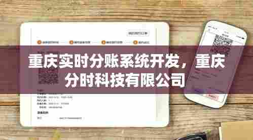 重庆实时分账系统开发，重庆分时科技有限公司 