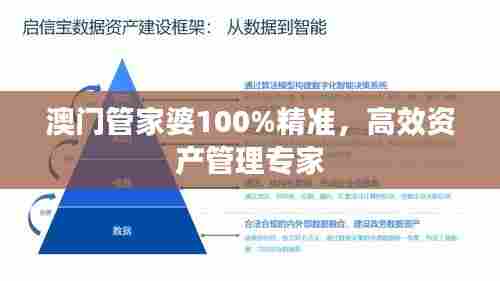 澳门管家婆100%精准,高效资产管理专家