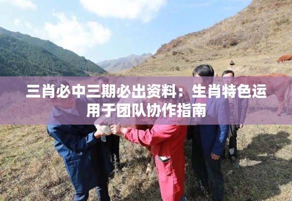 三肖必中三期必出资料：生肖特色运用于团队协作指南