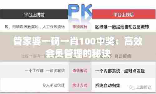 管家婆一码一肖100中奖:高效会员管理的秘诀