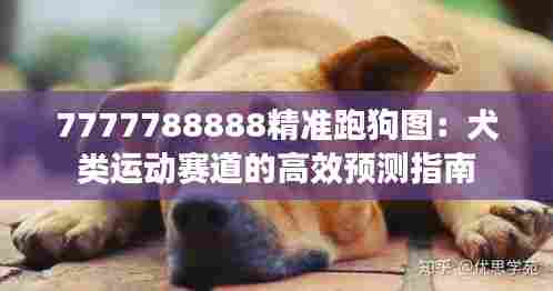 7777788888精准跑狗图:犬类运动赛道的高效预测指南