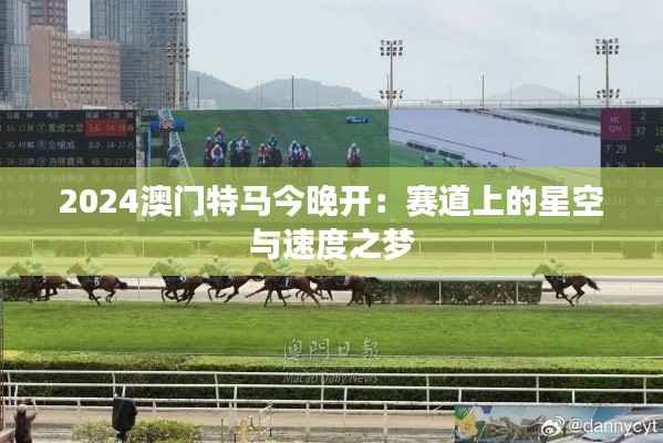 2024澳门特马今晚开：赛道上的星空与速度之梦